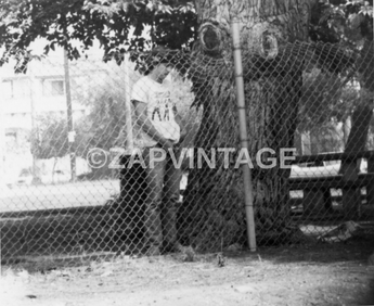 Vtg 1980's B&W Guy Secretly Peeing Behind A Tree Photo Gay Interest #456