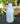 Wine Bottle Artificial Industrial Concrete Succulent Plant Desktop Floral Decor