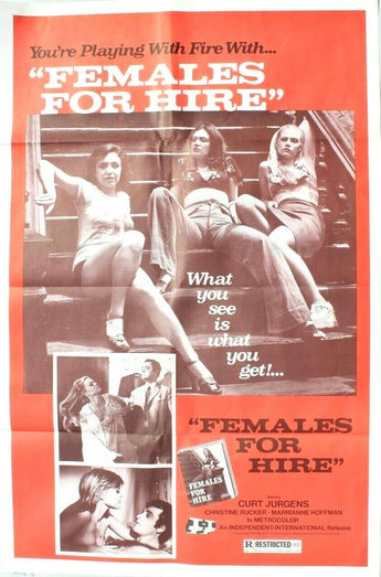 Vtg 1969 FEMALES FOR HIRE (Christine Rucker) Sexploitation One Sheet Poster