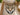 New Animal Cheetah Head Micorfiber Bathroom Bath Rug 26 in X 26 in Rubber Bottom