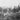 Vintage 1902 The Valley Of California (San Fernando Valley) Photo #1818