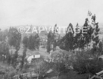 Vintage 1902 The Valley Of California (San Fernando Valley) Photo #1818