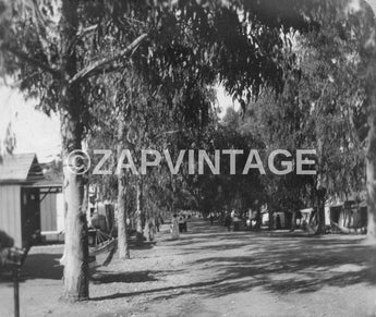 Vtg 1902 Camp Marathan (Summer Ave) CATALINA ISLAND Catalina Island Photo #1809