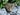 New Metal Jungle Gold Cheetah Tiger Face Head Storage Jewelry Trinket Box Decor