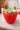 New Large Red Juicy Retro Stawberry Cookie Jar Kitchen Canister Storage