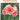 Vintage November 1951 Popular Gardening All-Garden Magazine