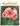 Vintage November 1951 Popular Gardening All-Garden Magazine