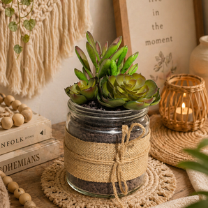 New Country Shabby Chic Farm House Artificial Succulents in Glass Jar W/ Burlap