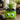 Baby Frankenstein Succulent Planter Small Plant Pot Home Garden Decor NEW