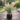 Mini Artificial Flowers Plant Desktop Vase Floral Decor Summer Spring Easter #2