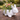 Sur la Table Easter Collection Bunny Planter / Dipping Bowl Cute Spring Rabbit