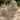 New White Large Ceramic Poodle Dog Figure Statue Room Decor