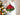 New Red / Green / Gold Poinesttia Plant Hoilday Christmas Tree Ornament