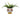 New Cermatic Contemporary Face Planter Pot Head Flower Pot With Closed Eyes