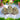 New 3 Yellow Fuzzy Flocked Chicks Spring Easter Holiday Room Decor