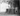 Vtg 1980s Black & White Guy Secretly Peeing Behind A Tree Photo Gay Interest 453