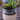 Rustic Industrial ARTIFICIAL Succulent Arrangement Garden GLASS JAR Planter 
