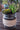 Rustic Industrial ARTIFICIAL Succulent Arrangement Garden GLASS JAR Planter 
