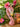 New Pink Tropical Pink Flamingo Head Decorative Flower Table Vase Room Decor