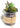 New Country Shabby Chic Farm House Artificial Succulents in Glass Jar W/ Burlap