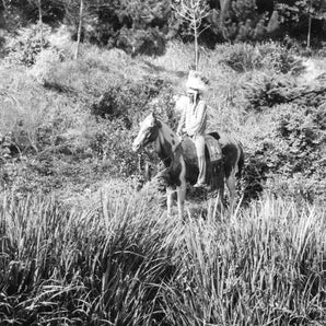 VTG 1940 - 1950's Photo - Native American Indian (Chief) Riding Horse In Field 