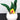 New Retro Contemporary Felt Fake Succulent Cactus Home Office Plant  - Green