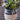 Rustic Industrial ARTIFICIAL Succulent Arrangement Garden GLASS JAR Planter 
