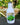 Wine Bottle Artificial Industrial Concrete Succulent Plant Desktop Floral Decor