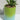NEW Green / Blue Happy Halloween Pumpkin Ceramic Planter Plot W/ Succulents 
