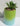 NEW Green / Blue Happy Halloween Pumpkin Ceramic Planter Plot W/ Succulents 