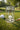 New Plastic 3D White Golf Ball Tumbler Party Event Beverage Glass Cup