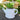 Watering Can Artificial Industrial Concrete Succulent Plant Desktop Floral Decor