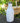 Wine Bottle Artificial Industrial Concrete Succulent Plant Desktop Floral Decor