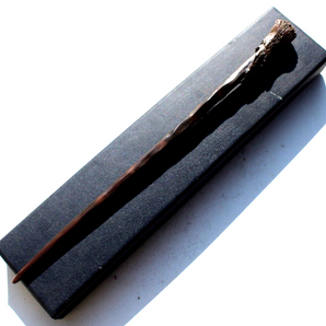 Harry Potter Wand Wand in Box Film Replica