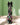 New Halloween Ghoulish Macaroon Glittered Black Bow Decor Tree Spooky Accents