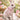 New Pink White Laura Ashley Toile Easter Bunny Girl Figurine Holiday Decor