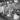 Vtg 1900s Cows Getting Milked Milking Cows In Dairy Factory Photo #2539