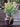  Mini Artificial Flowers Plant Desktop Vase Floral Decor Summer Spring Easter #1