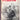 Vintage April 1962 Toros (Matador) Bullfighting Review In English Magazine 