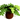 Vintage Dollhouse Miniature  Fern Foliage Fern Plant