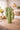 New Green Western Desert Cactus Room Decor Figurine Statue