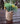 Mini Artificial Flower Plant Fake Floral Decor Summer Shabby Chic News Paper