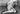 Vtg B&W 1950's Photo Girl Pinup Bondage Naughty Ropes Ripped Clothes Risque #911