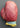 Vintage Rare 1950s Joe Palooka (Boxer) Hutch 525 Boxing Glove 