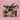 New Travel Betsey Johnson Insulated Lunch Tote Bag Zip Top Cow Print W/ Roses
