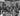 Vtg B&W 1920's - 1930's BETA PHI Frat Photo (Frat Group) Formal Dinner W/ Cigars