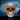 New Large Gold / Tan  Skull W/ Butterfly Glasses Eyes Halloween Figurine Statue