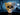 New Large Gold / Tan  Skull W/ Butterfly Glasses Eyes Halloween Figurine Statue