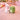 New Easter Bunny Holding Cabbage Salt & Pepper Shakers Party Dinning Set