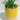 NEW Yellow / Pink Happy Halloween Pumpkin Ceramic Planter Plot W/ Succulents 